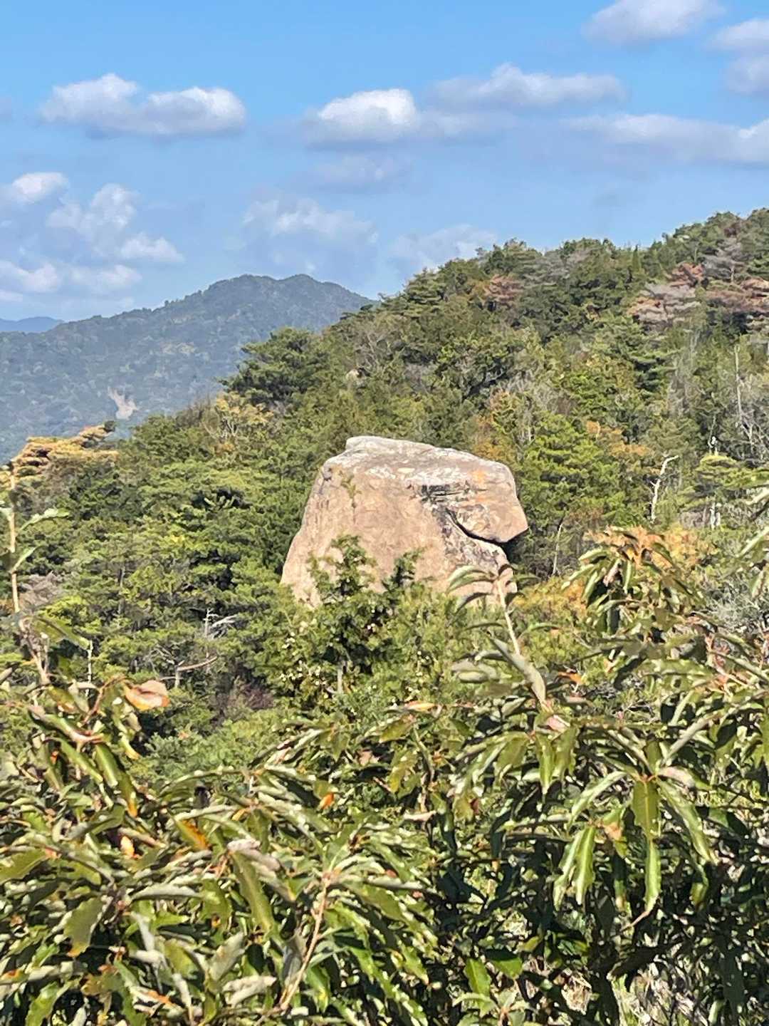 ペンギン岩
