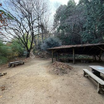 こんな広場があったよ