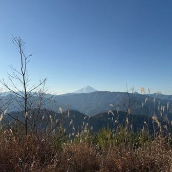 富士山🗻