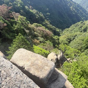この下の岩の上でパン食べてた笑
