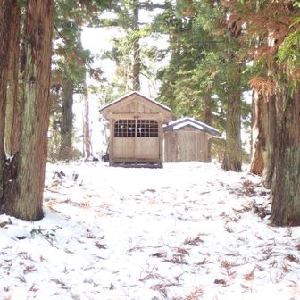 社殿は囲われてない。