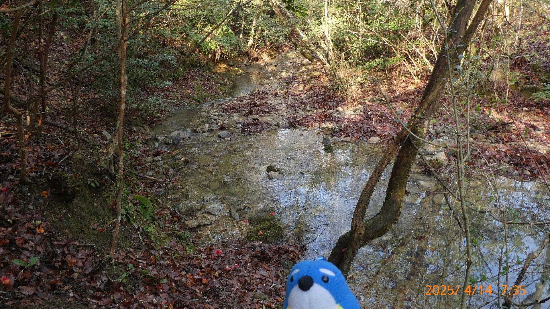 昨日の雨で、水が多いです😅