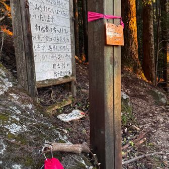 道中、ゲイター？の落とし物を拾う
とりあえず登山口に置いておきましょう