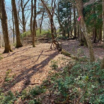 オホラ山頂に着きました。
「天神」三角点からは、５分程でした。