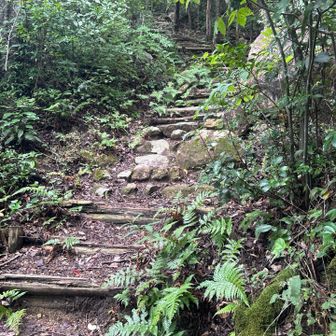 繖山ピーク近く