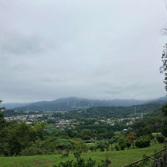 善波手前から丹沢主脈方面。あの雲の中にも登山者が沢山いるんだろうなぁ。