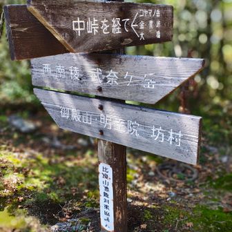 ワサビ峠