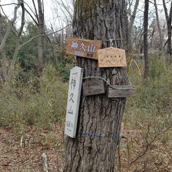 増えすぎ‼️
最初は右下の古びたのだけだったような……