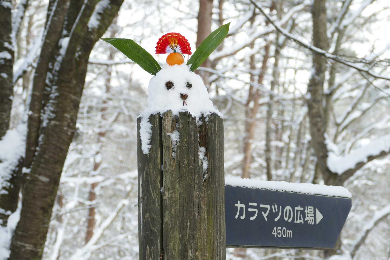 最後もウザギで！