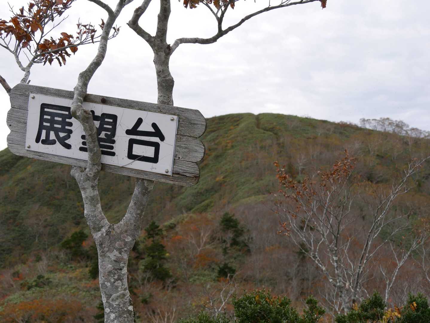 展望台からは、山頂が見える🎶
あと少し。