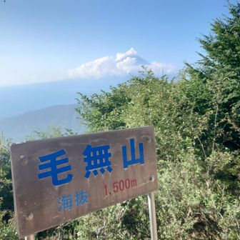 毛無山山頂、ここからダラダラ下っていきます