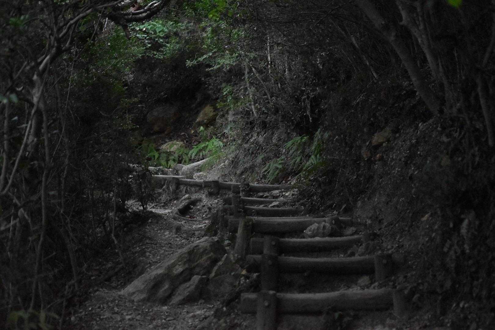 登っていこう。