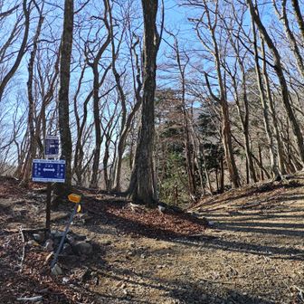 白瀬峠まで戻ってきました🪧
ここで悩んだのですが、右側正規ルートで一回天ヶ平まで戻って御池岳に向かうか、正面のYAMAPには掲載されていないルートで東ボタンブチやテーブルランド経由して御池岳に向かうか🤔
しかし東ボタンブチ方面に向かうには、一旦谷底まで降りて、更に急登直登しないとダメっぽいので、正規ルートに向かうことにします🚶🏻
