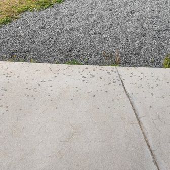 雨が降り出しました。どうせすぐやむだろうけど、せっかく持ってきたのでレインポンチョを着用