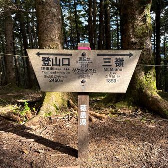 ダケモミの丘に到着ー。
ここから山頂までは1650m。