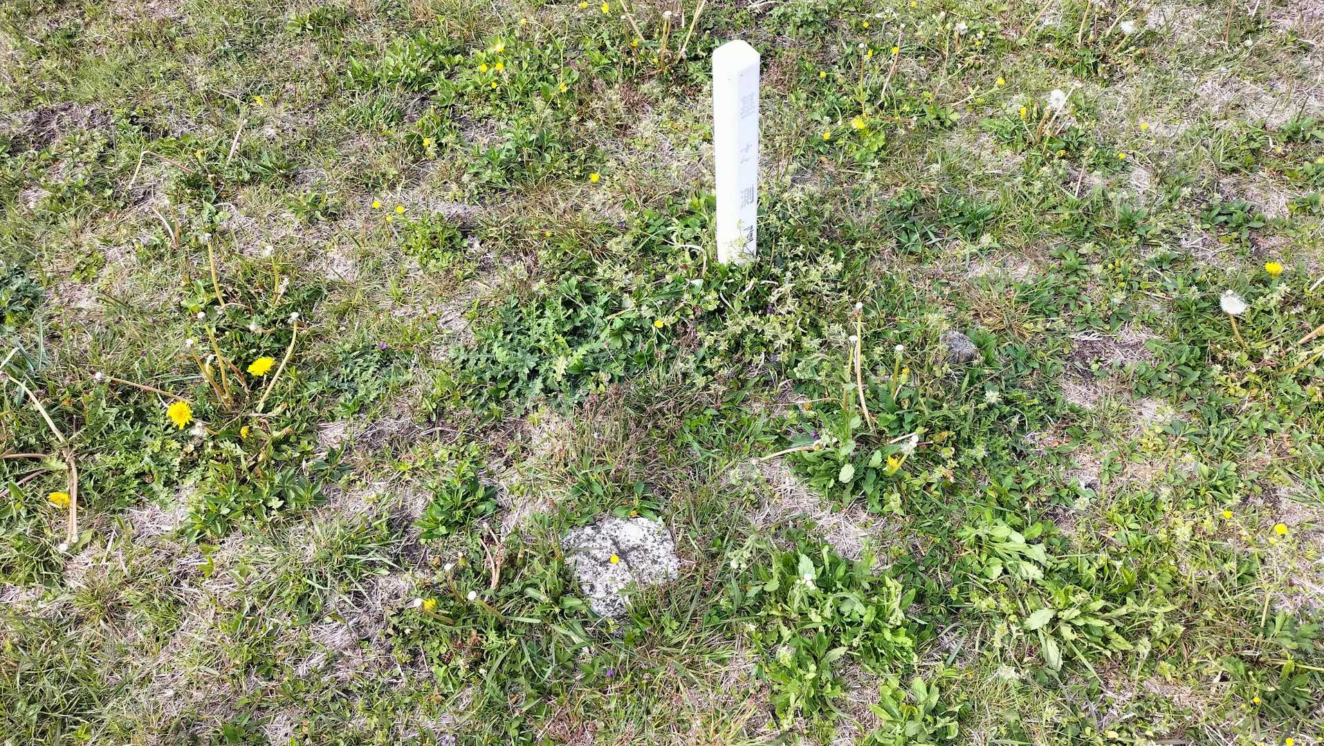 三角点ありました。