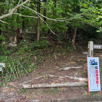 熊注意の看板