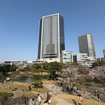ちょい高くなってるので見晴らしよし🙆‍♀️