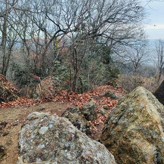 山頂はこんな感じ。