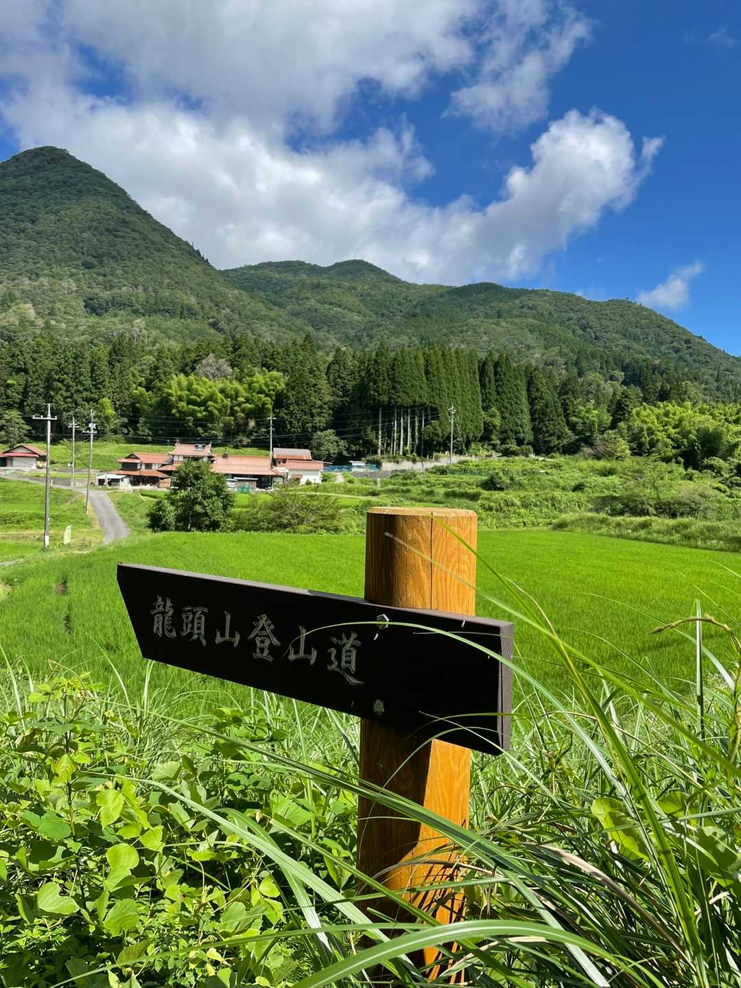思った以上に良い天気
やっぱ、この山も暑いのかな〜😵‍💫