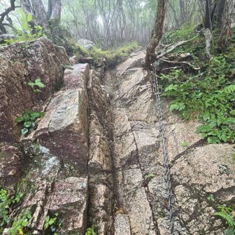 岩場の登り。こうでなくっちゃ。岩は滑らない。