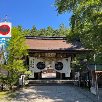 熊野三山をお参りしてきました
熊野古道は何もわかってないので今回は触れてません