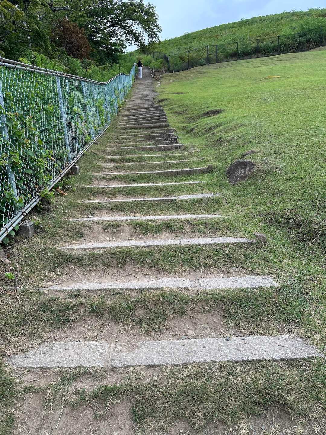 こんな感じの階段状になってます。歩きやすいです。