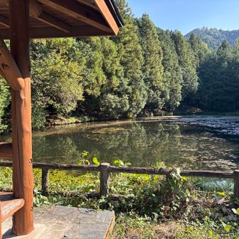下山路にきれいな池がありました。立派な東屋が建ってます。
