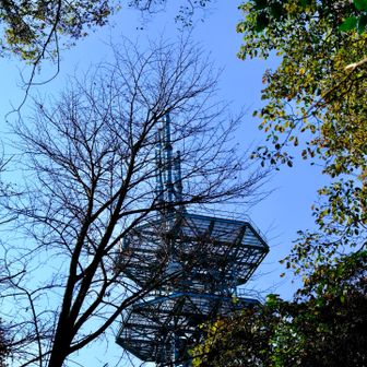 小仏城山山頂が見えます