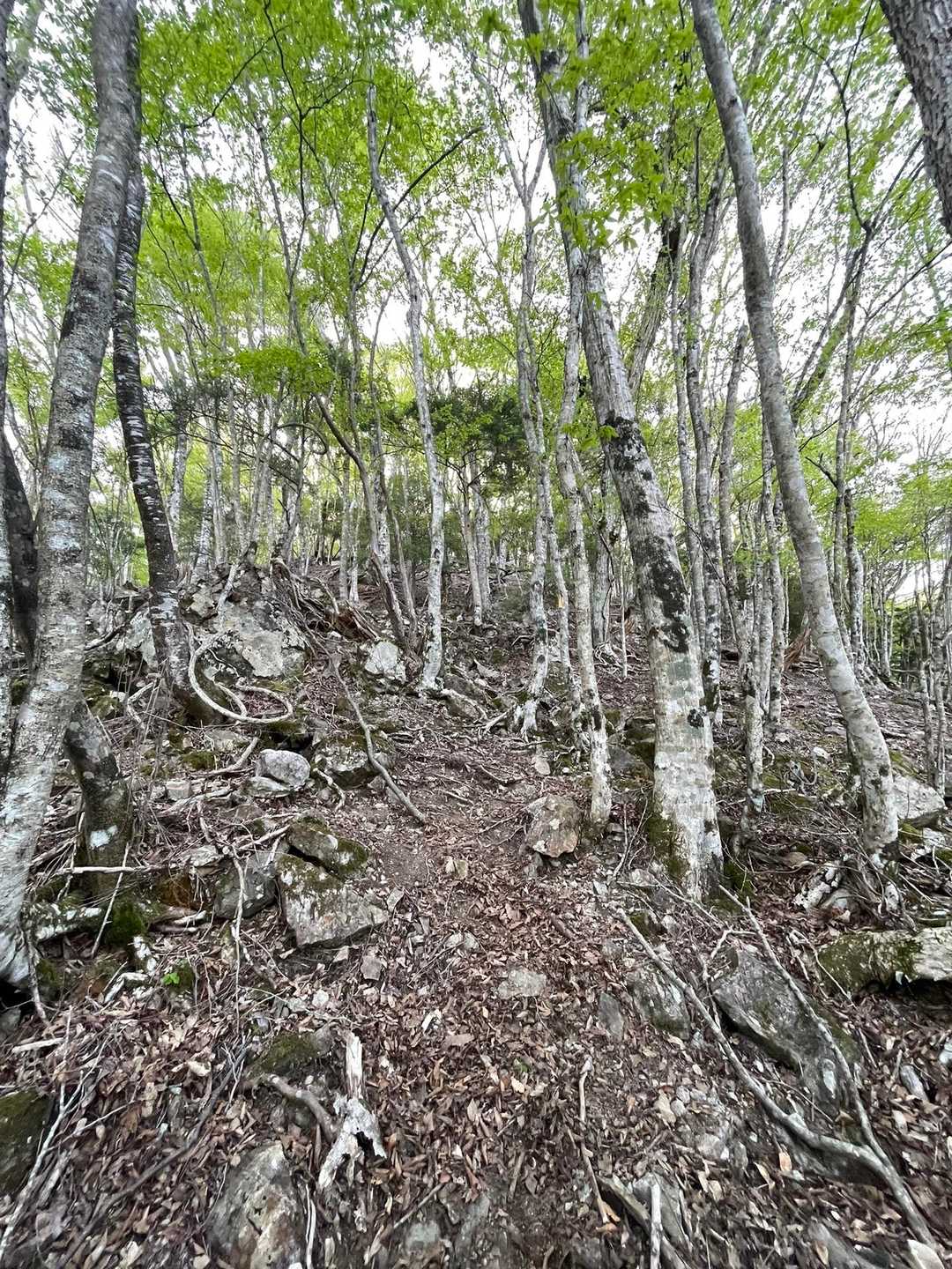 登り続ける💦
