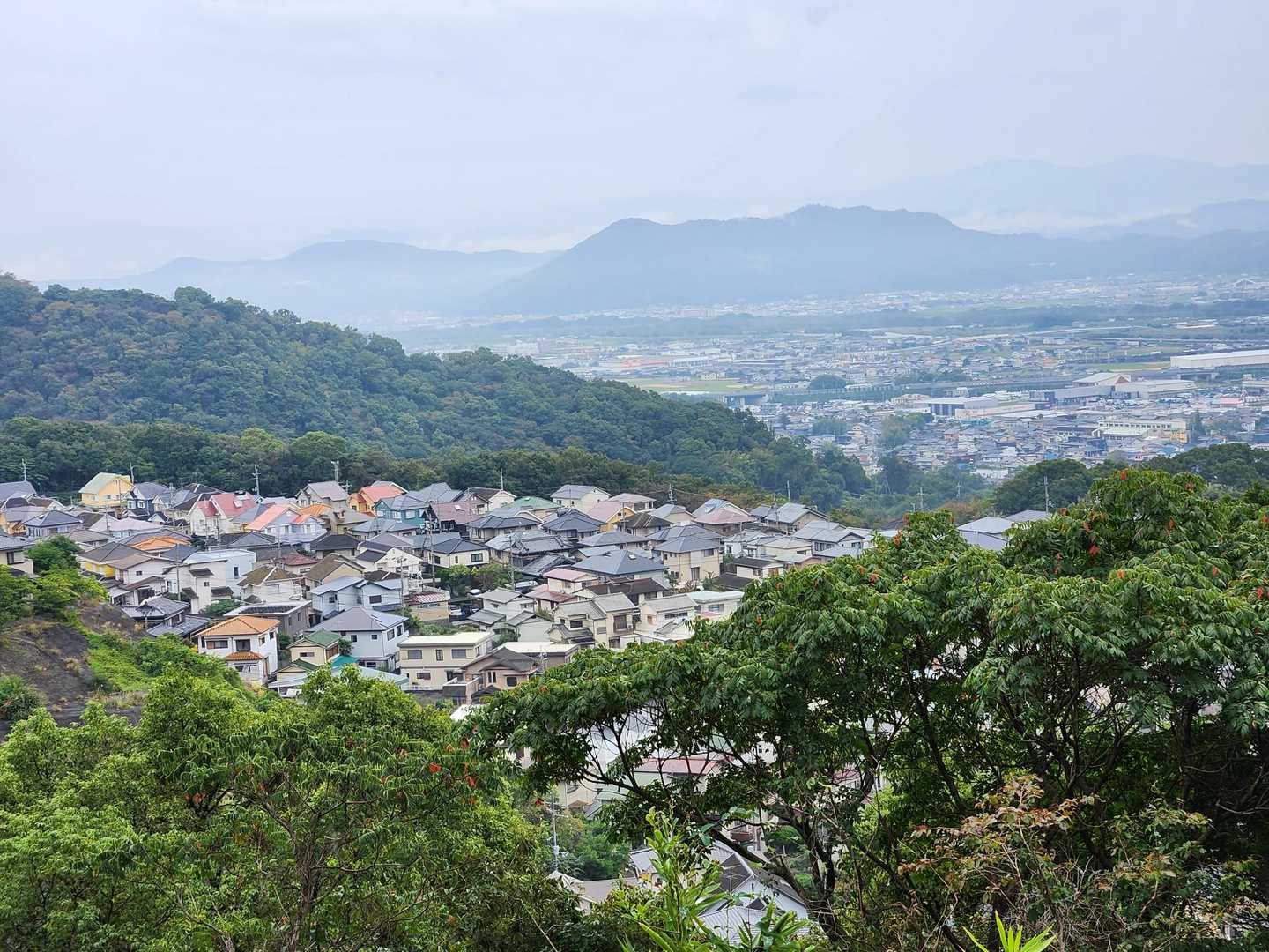 奥辺峠-大福山 往復コースの写真