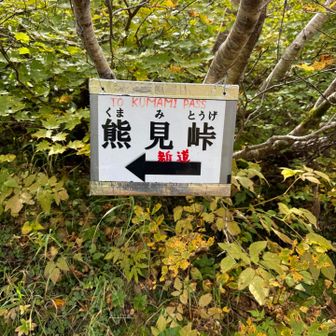 帰りはこちら(^^)