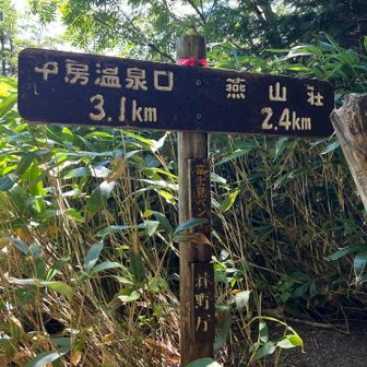 じわじわじわじわじわじわじわじわじわじわ登り富士見ベンチ到着。行きは富士山が見えず、帰りにお姿を見ることができました