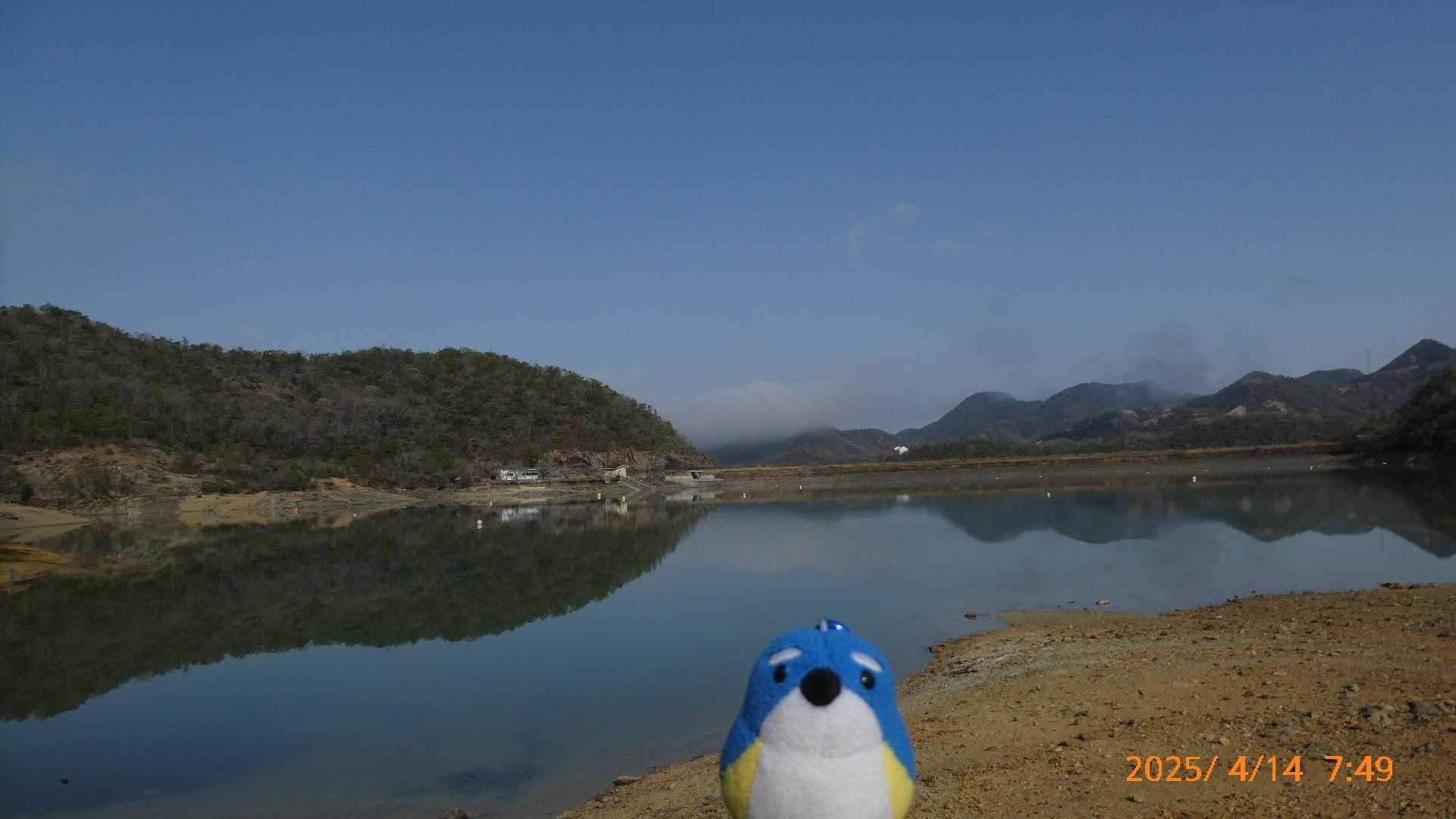 昭和池です。