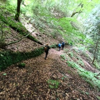 苔むした石塀沿いに