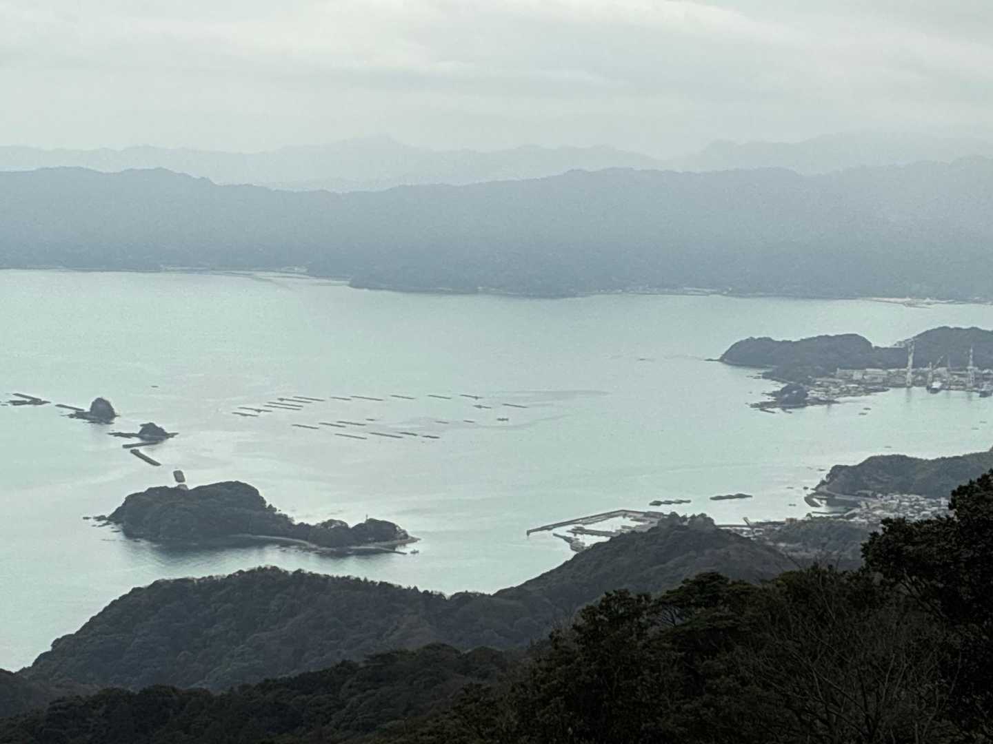 何の養殖の筏かな❓