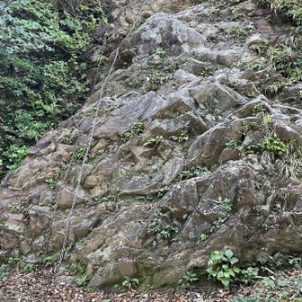 山地図の言う通りでした。
クサリが無い所の方がこわかったです。
武田信玄はぜったい来なかったと思いました。