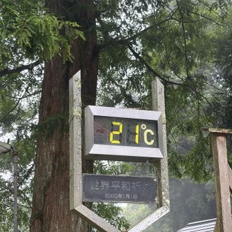 さあ何度かな？
もんちゃんは22℃
私は20℃
惜しい‼️