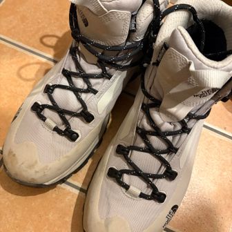 メイソンマウント