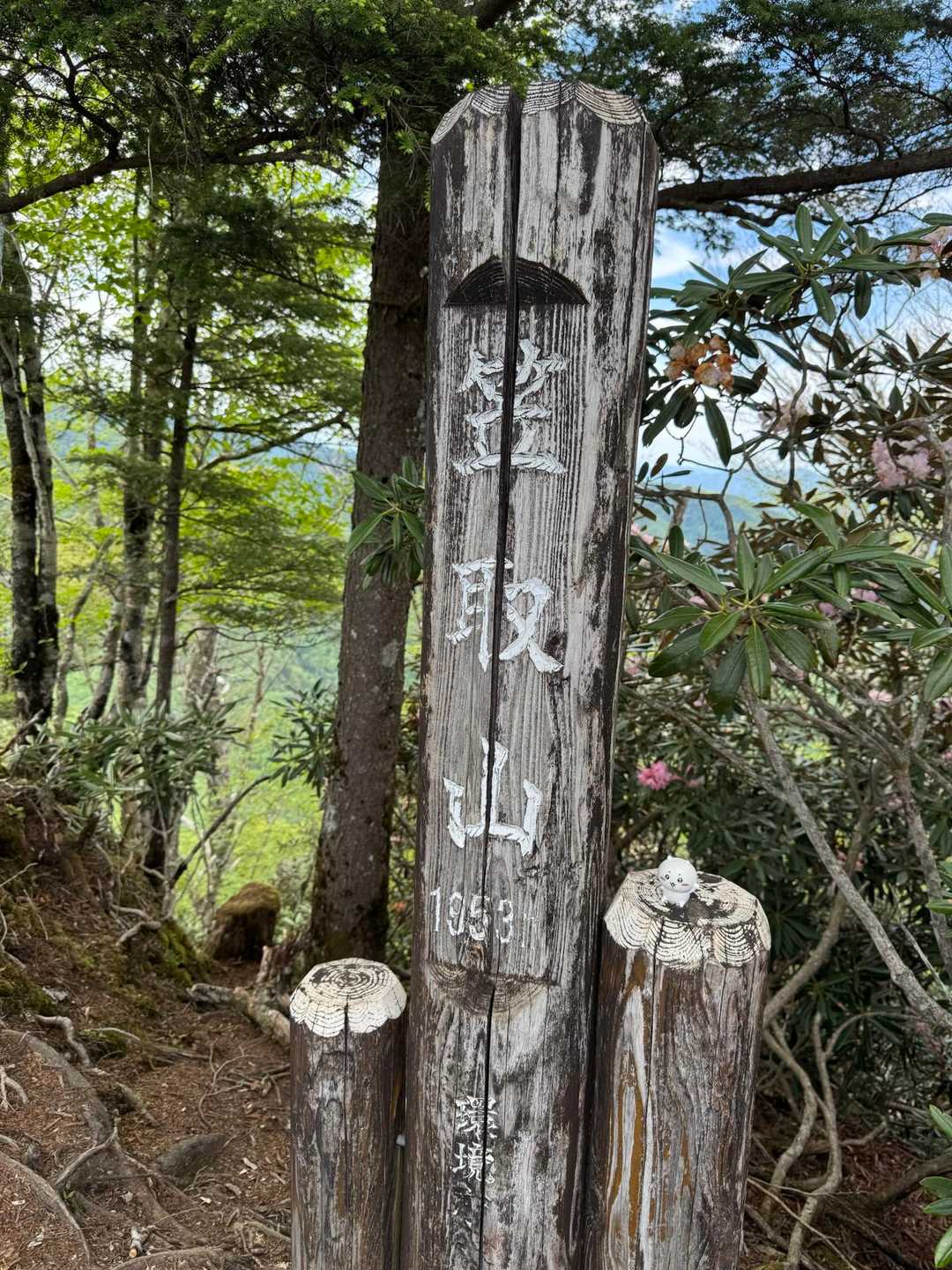 笠取山 / 散歩道の小石の登山データ | YAMAP / ヤマップ