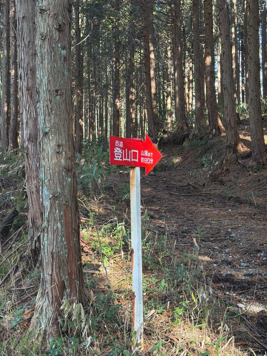 この辺まではほとんど勾配もなく、みんなとワイワイ話しながら登りました。