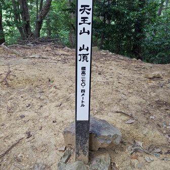 山頂です。