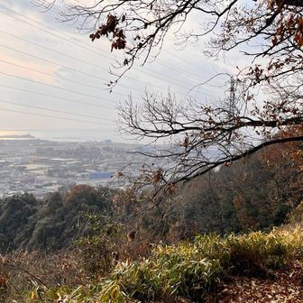 ここで視界がひらけて海がみえる！