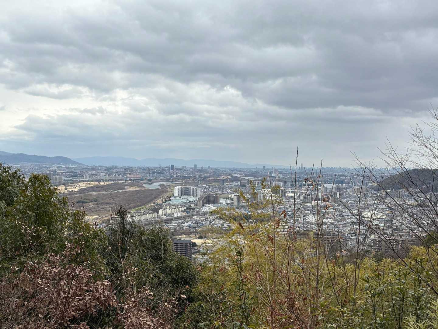 京都と大阪が見渡せるそうで…