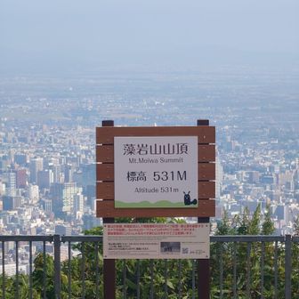 P標識
撮影場所を少し変えると市街地がキレイに撮れる
