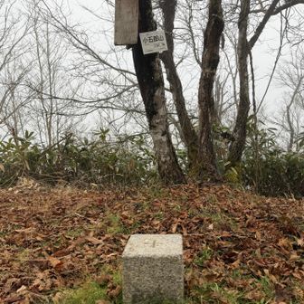 やりました😁
日が暮れそうです💦