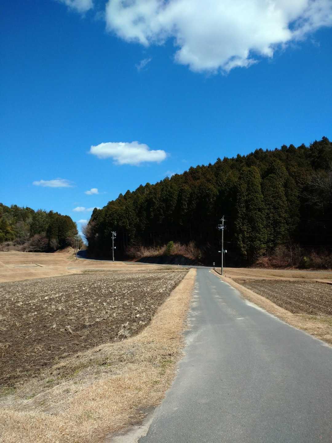 そして、舗装道路を大舟駐車場へと戻ります。