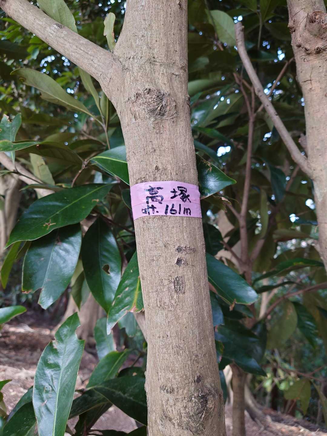 ビニールテープに記入
見過ごしそう…