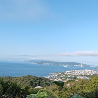 今日は遠くまでくっきり観えますね