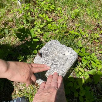 少し先の羽黒山に三角点